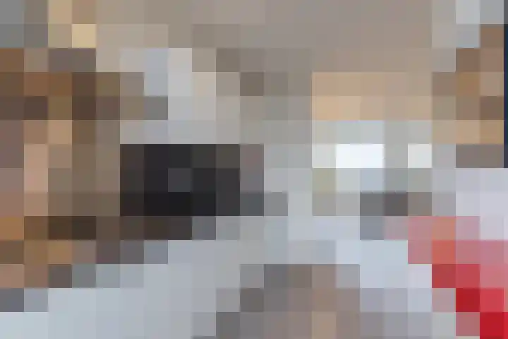 Fivelingo 69 Utrecht thumbnail 11