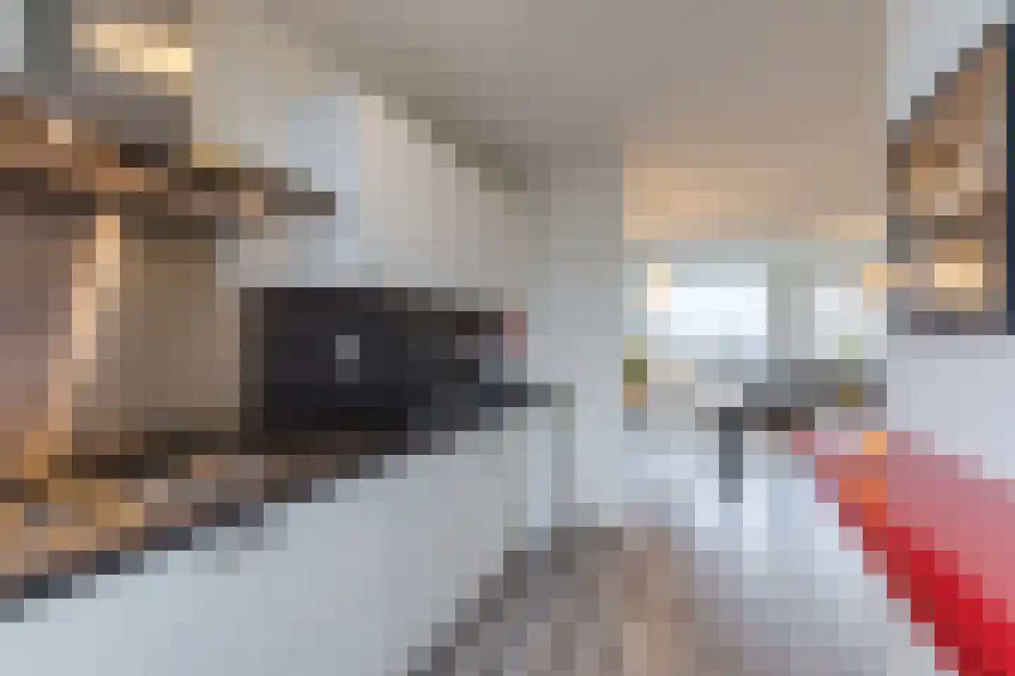 Fivelingo 69 Utrecht thumbnail 11