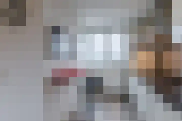 Fivelingo 69 Utrecht thumbnail 12