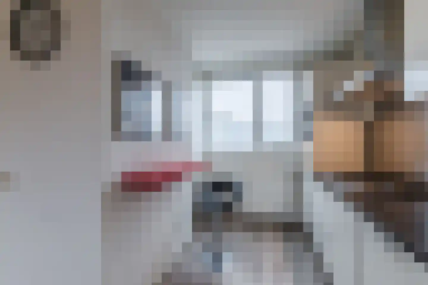 Fivelingo 69 Utrecht thumbnail 12