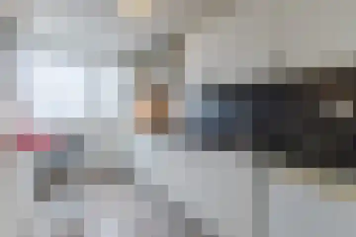 Fivelingo 69 Utrecht thumbnail 13