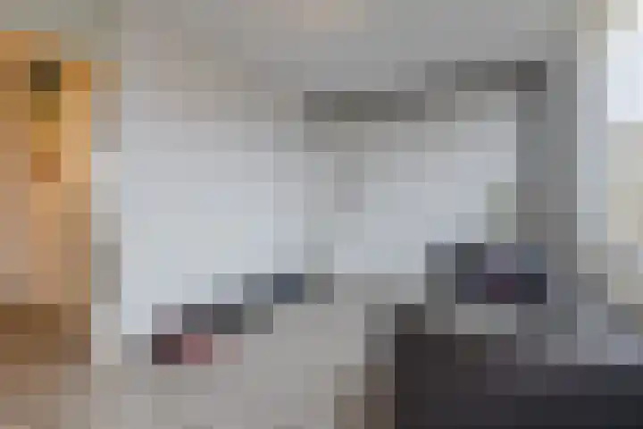 Fivelingo 69 Utrecht thumbnail 24