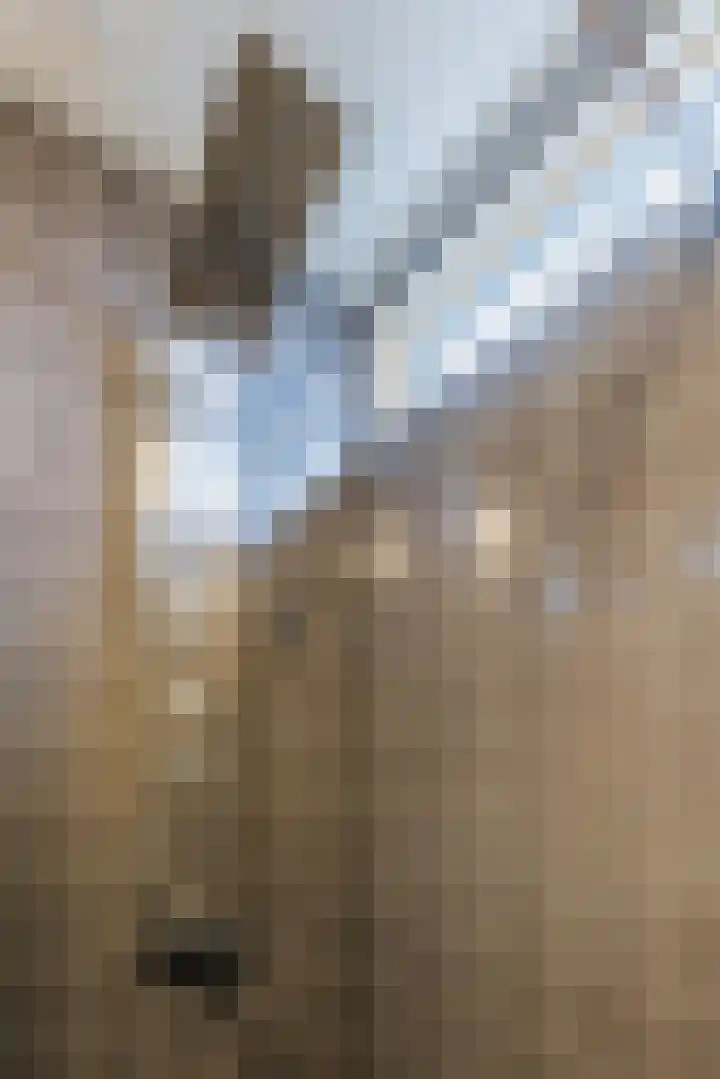Fivelingo 69 Utrecht thumbnail 27