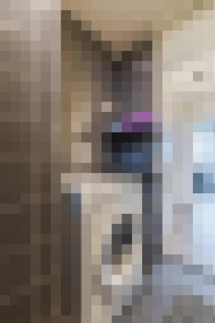 Fivelingo 69 Utrecht thumbnail 29