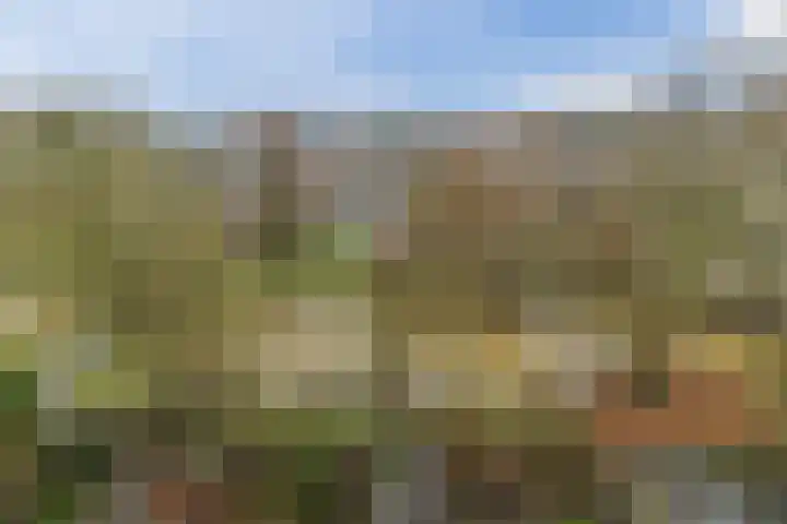 Fivelingo 69 Utrecht thumbnail 32