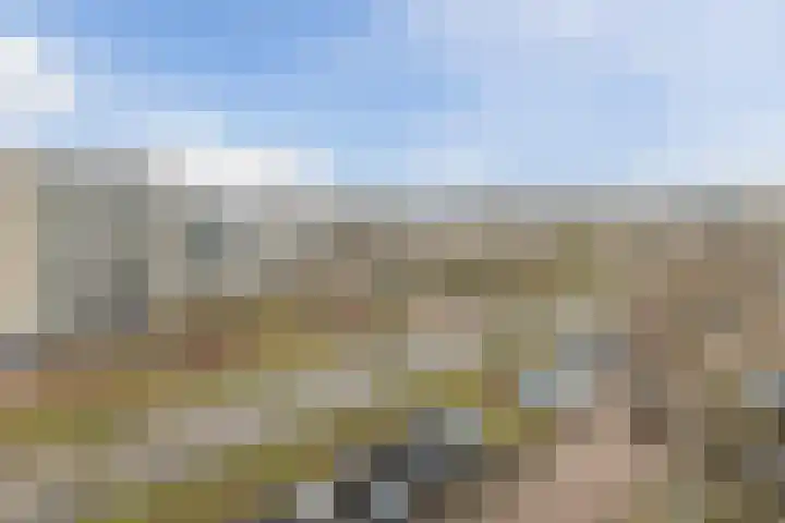 Fivelingo 69 Utrecht thumbnail 33
