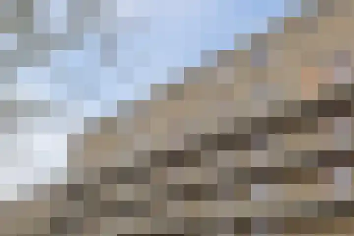 Fivelingo 69 Utrecht thumbnail 42