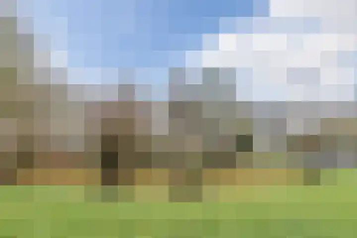 Fivelingo 69 Utrecht thumbnail 43