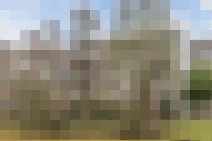 Fivelingo 69 Utrecht thumbnail 45