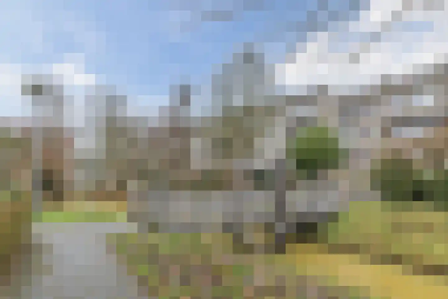 Fivelingo 69 Utrecht thumbnail 46