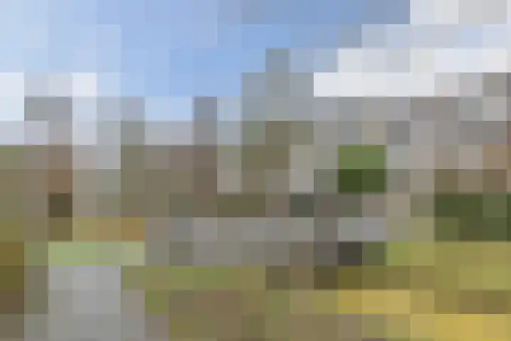 Fivelingo 69 Utrecht thumbnail 46