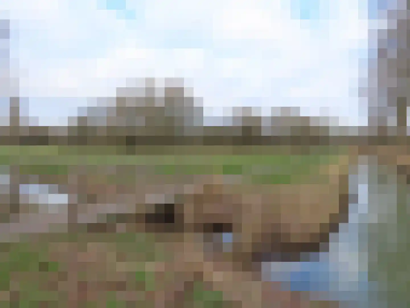 Fivelingo 69 Utrecht thumbnail 48