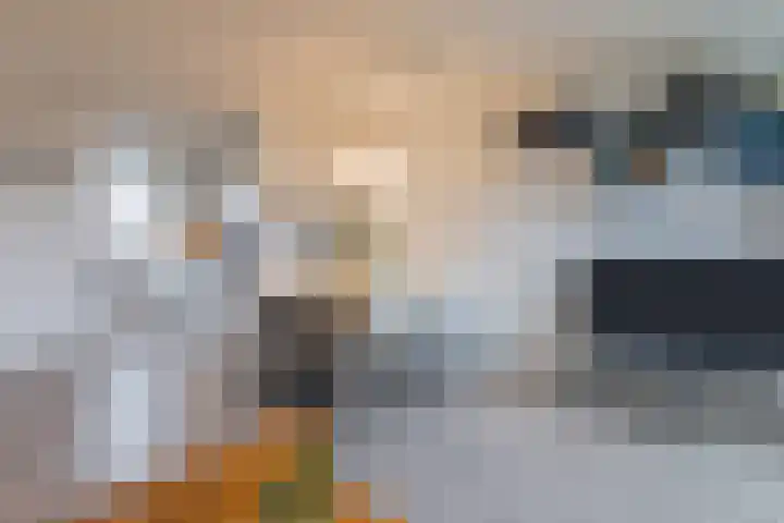 Fivelingo 69 Utrecht thumbnail 8