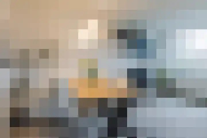 Fivelingo 69 Utrecht thumbnail 9
