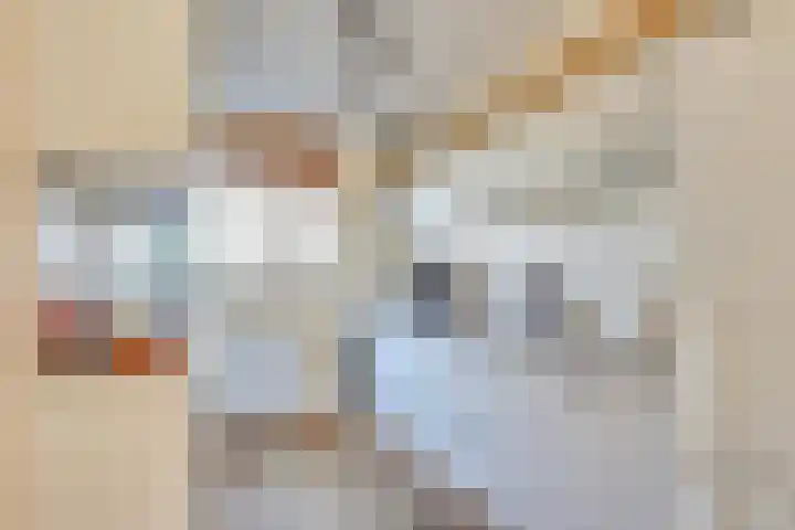 Fivelingo 81 Utrecht thumbnail 13