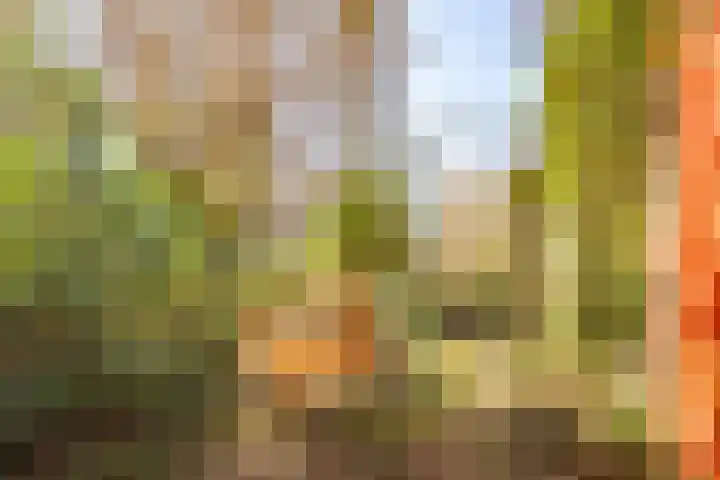 Fivelingo 81 Utrecht thumbnail 16