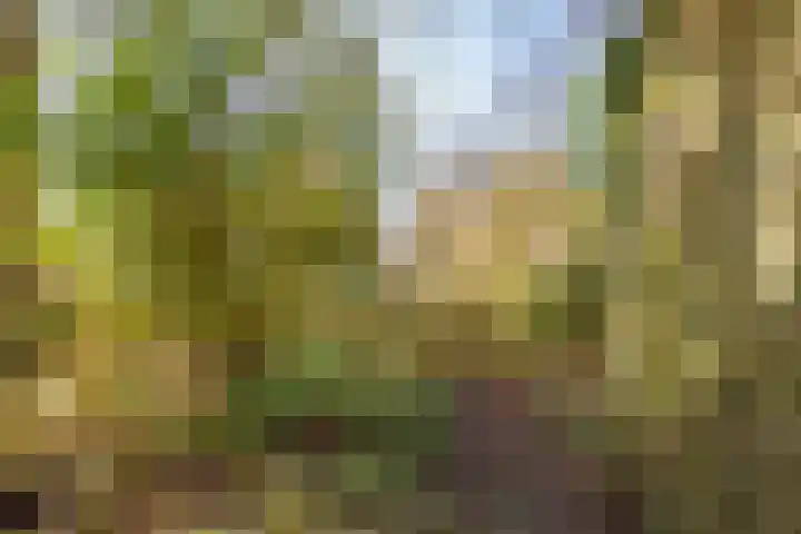 Fivelingo 81 Utrecht thumbnail 17