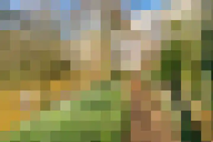 Fivelingo 81 Utrecht thumbnail 18