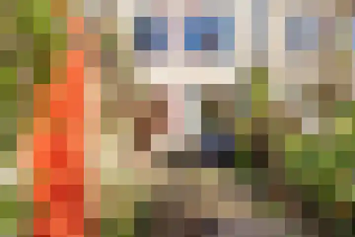 Fivelingo 81 Utrecht thumbnail 19