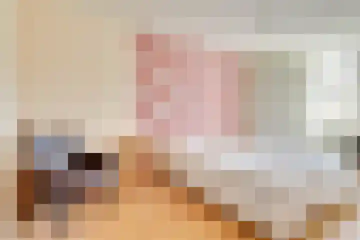 Fivelingo 81 Utrecht thumbnail 22