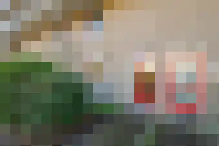 Fivelingo 81 Utrecht thumbnail 33