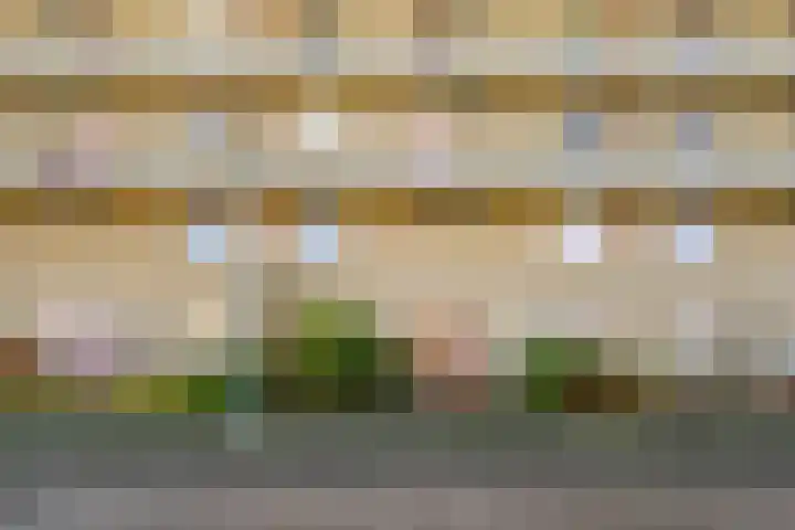 Fivelingo 81 Utrecht thumbnail 34