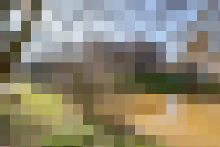 Fivelingo 81 Utrecht thumbnail 35