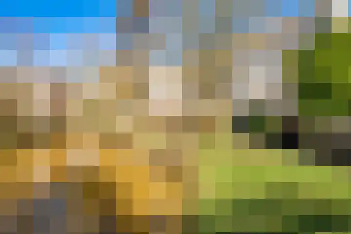 Fivelingo 81 Utrecht thumbnail 36