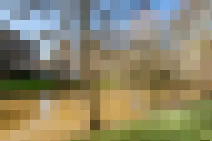 Fivelingo 81 Utrecht thumbnail 37