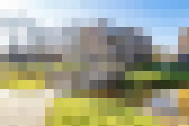 Fivelingo 81 Utrecht thumbnail 38