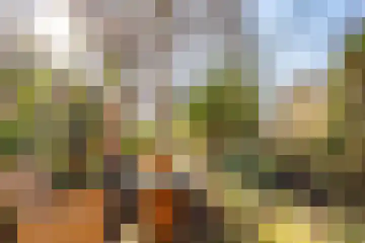 Fivelingo 81 Utrecht thumbnail 4