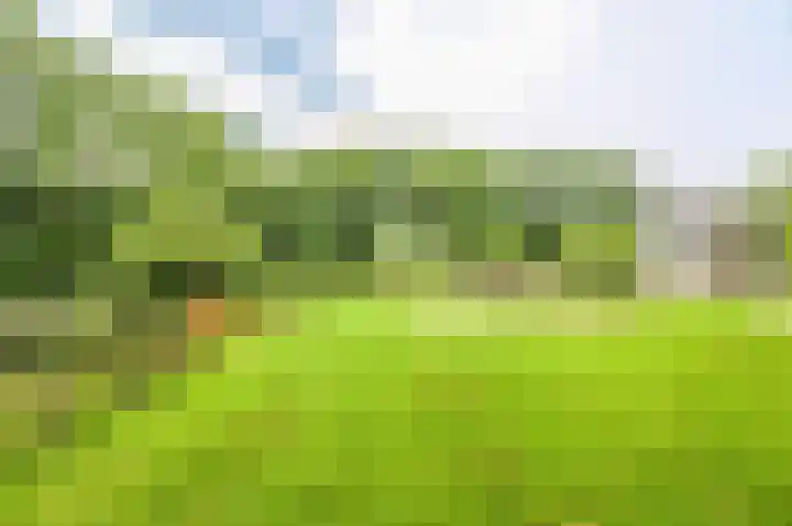 Fivelingo 81 Utrecht thumbnail 42