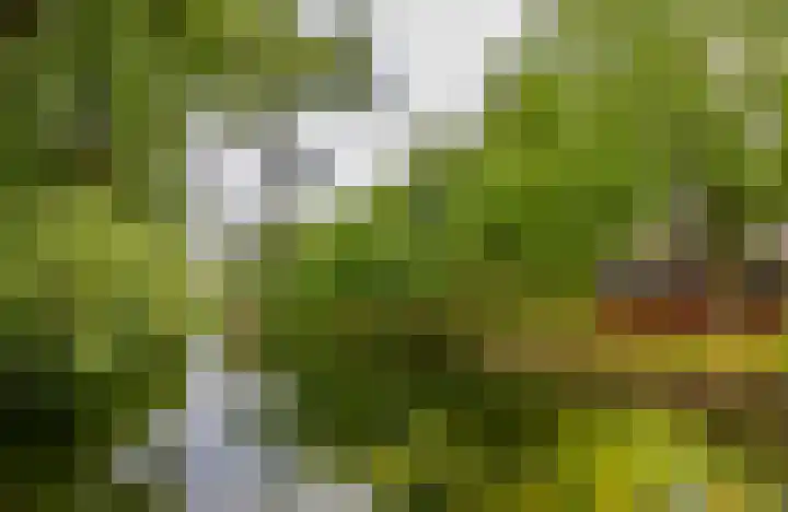 Fivelingo 81 Utrecht thumbnail 43