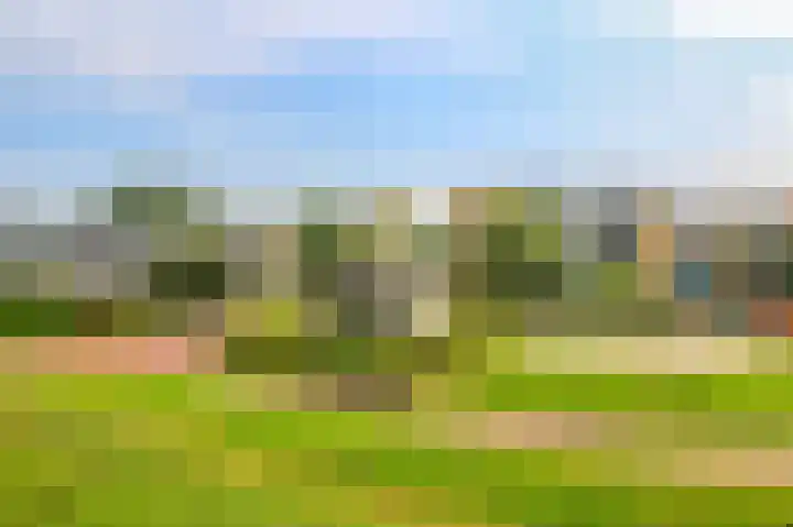 Fivelingo 81 Utrecht thumbnail 46