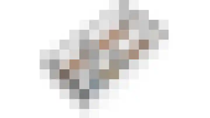 Fivelingo 81 Utrecht thumbnail 55