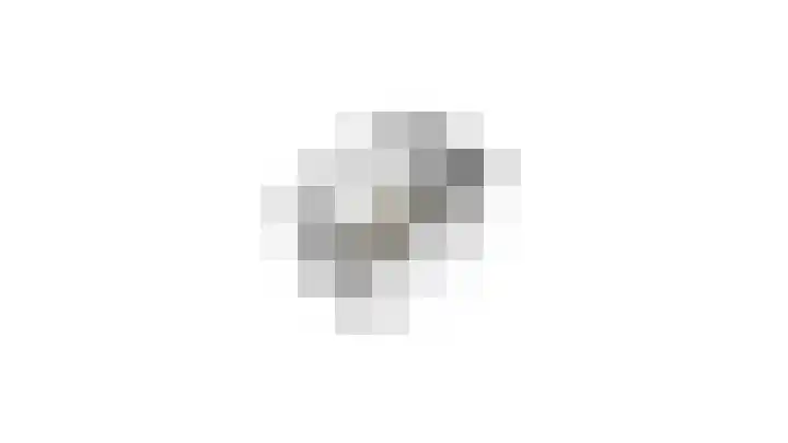 Fivelingo 81 Utrecht thumbnail 57