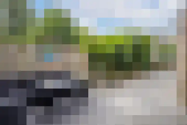 Fivelingo 89 Utrecht thumbnail 13