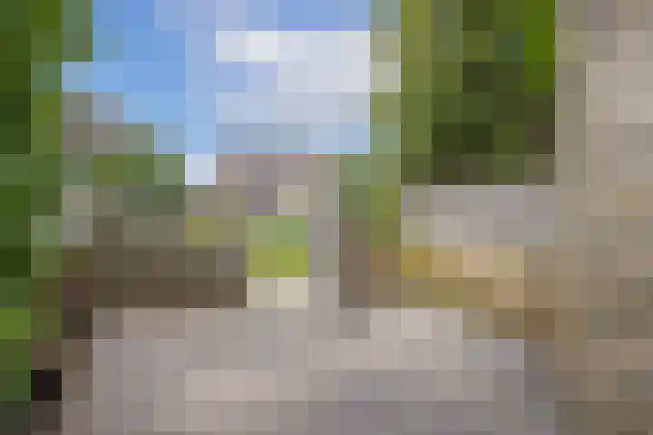 Fivelingo 89 Utrecht thumbnail 15