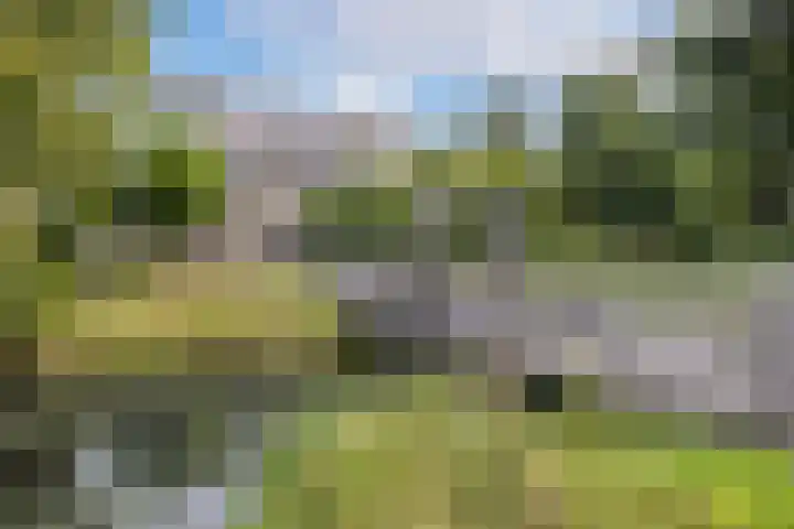 Fivelingo 89 Utrecht thumbnail 16