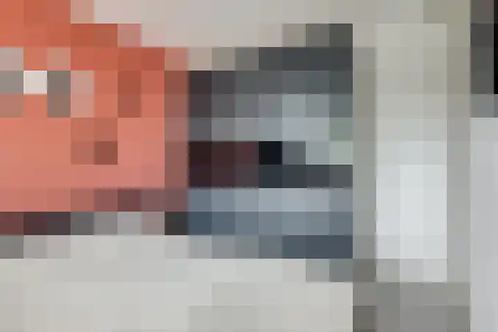 Fivelingo 89 Utrecht thumbnail 19
