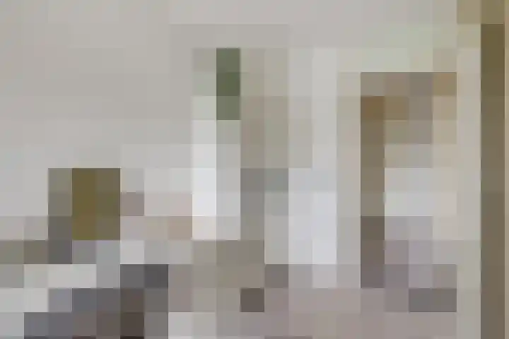 Fivelingo 89 Utrecht thumbnail 22