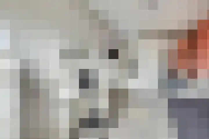 Fivelingo 89 Utrecht thumbnail 25