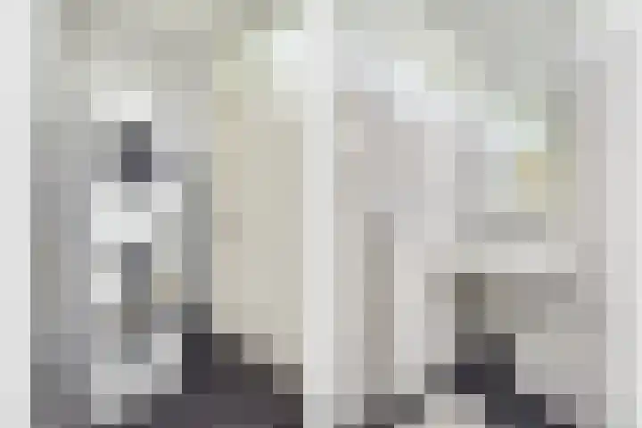 Fivelingo 89 Utrecht thumbnail 27