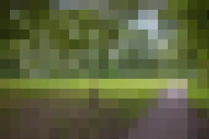 Fivelingo 89 Utrecht thumbnail 30