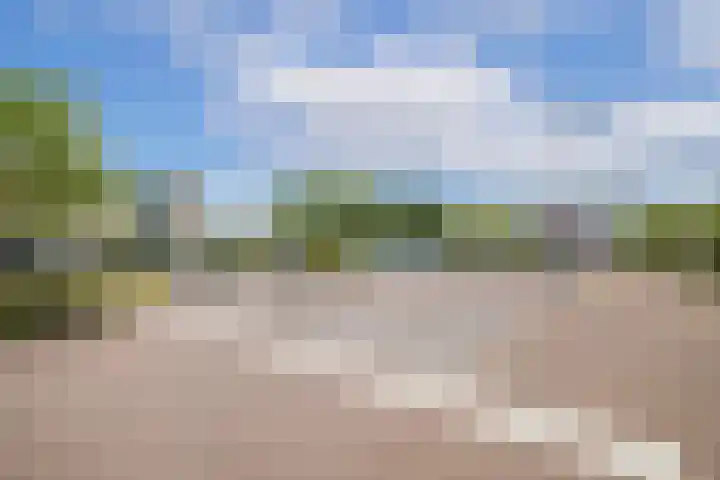 Fivelingo 89 Utrecht thumbnail 33