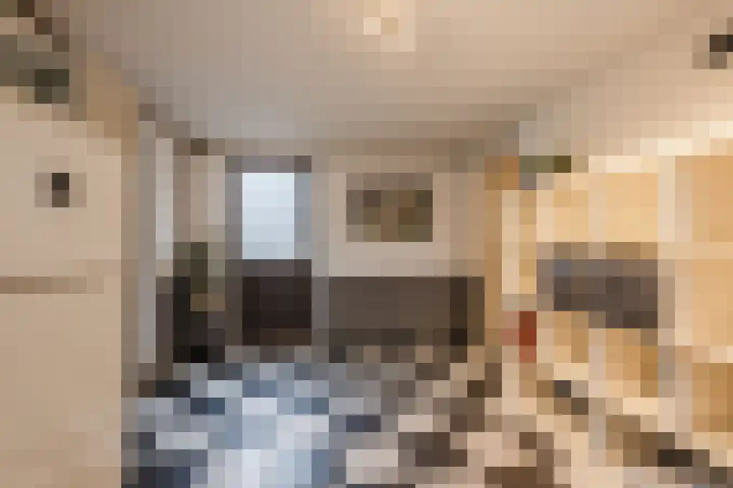 Fivelingo 89 Utrecht thumbnail 5