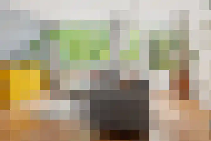 Fivelingo 93 Utrecht thumbnail 12