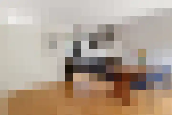 Fivelingo 93 Utrecht thumbnail 15