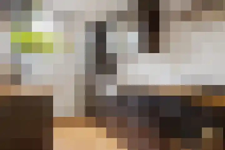 Fivelingo 93 Utrecht thumbnail 17