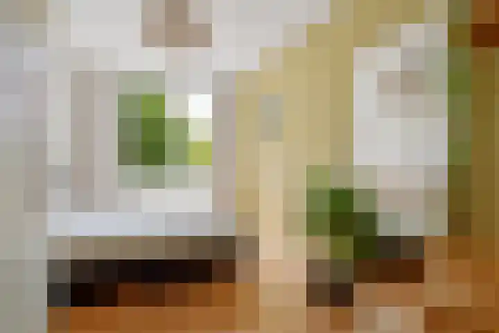 Fivelingo 93 Utrecht thumbnail 20